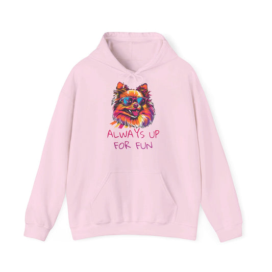 Always Up For Fun Hoodie